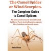Camel Spider or Wind Scorpion, The Complete Guide to Camel Spiders.