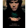 Zuty – Frodo s prsteňom (Pán Prsteňov), 40 × 50 cm, bez rámu a bez napnutia plátna 8596530237808