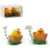 Veľkonočné ozdoby kuriatka v škrupine, sada 4 ks
