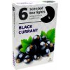 Admit Tea Lights Black Currant 6 ks
