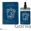 Distrineo Harry Potter Ravenclaw Bystrohlav