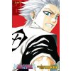 Bleach (3-in-1 Edition), Vol. 6