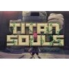 Titan Souls Collector's Edition Steam CD Key