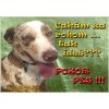 Pozorpes.sk, výstražná tabuľka (Lousianský leopardí pes)