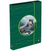 Karton P+P A4 Jumbo Oxy Sherpy Green