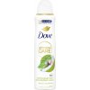 Dove Antiperspirant v spreji Matcha Green Tea & Sakura Blossom (Anti-Perspirant) 150 ml