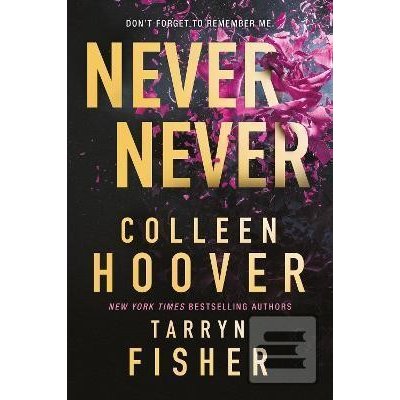 Never Never - Hooverová, Tarryn Fisher Colleen