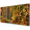 Sklenený obklad Do kuchyne Les príroda jeseň 100x50 cm