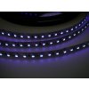 T-LED UV LED pás do interiéru 3528 120 SMD/m 5m bal.