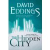Hidden City