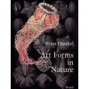 Art Forms in Nature (Olaf Breidbach)(Brožovaná)