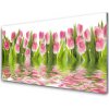 Obraz plexi Tulipány rastlina príroda 100x50 cm