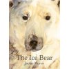 Ice Bear