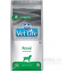 Vet Life Dog Renal 2 kg