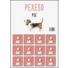 Pexeso Psi