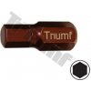 TRIUMF Bit Inbus, 10 mm driek, dĺžka 30 mm - 8 mm 702