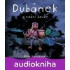 Dubánek a noční bouře - Klára Smolíková