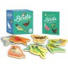 Birds: A Wooden Magnet Set (Danielle Belleny)(Brožovaná)