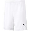 Puma cup kids