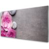 Obraz plexi Kvety kamene zen kúpele 100x50 cm