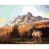 Zuty – Maľovanie Podľa Čísel – Los Za Úsvitu (D. Rusty Rust), 40 × 50 cm, Plátno + Rám 8596530169093