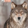 Le loup (Schneider)(Pevná)
