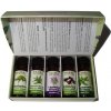 Slow Natur olej Prírodná domáca lekárnička 5 x 10 ml