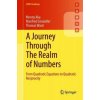 Journey Through The Realm of Numbers