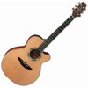 Takamine LTD2023