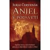 Anjel v podsvetí (Barbarič a Stein 7) (Juraj Červenák)
