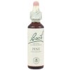 Pine - Borovica lesná 20 ml - bachove kvapky
