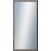 DANTIK - Zrkadlo v rámu, rozmer s rámom 50x100 cm z lišty TRITON cín (2146)