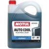 Motul - Nemrznúca zmes zelená (G12) -37 °C 5L 102928