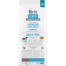 Brit Care Grain-free Junior Large Breed Salmon 12 kg