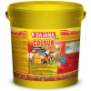 Dajana Colour flakes 5 l