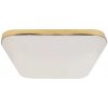 Ecolamp by eLight Stropné LED svietidlo Nemo, 1x LED 17w, 4000k, g