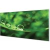 Sklenený obklad do kuchyne Vodné kvapky makro 100x50 cm
