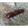FISHUP Pupa 1,5