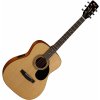 Cort AF510E Open Pore Natural Elektroakustická gitara Dreadnought