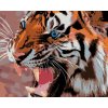 Diamondi Diamantové maľovanie MODRÉ TIGRIE OČI 40 x 50 cm bez rámu a bez vypnutia plátna