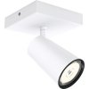 Bodové svietidlo Philips 50571/31/PN PAISLEY GU10 10 W biele