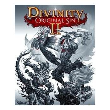 Divinity Original Sin 2