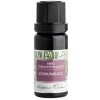 Nobilis Tilia Směs éterických olejů komunikace - 10 ml