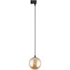 TK Lighting Luster na lanku do lištového systému TRACER 1xG9/8W/230V čierna/dymová hnedá TK4928 + záruka 3 roky zadarmo