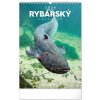 NOTIQUE Nástenný Rybársky 33 x 46 cm 2026