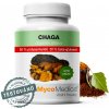MycoMedica Chaga 50% vegán 90 kapsúl