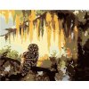 Zuty – Maľovanie podľa čísel – Sova a stromy (D. Rusty Rust), 40 × 50 cm, plátno 8596530184249