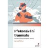 Překonávání traumatu - Janina Fischer