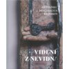 Videné z nevidna