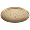 Hlavová sprcha Hansgrohe Croma kartáčovaný bronz 26220140